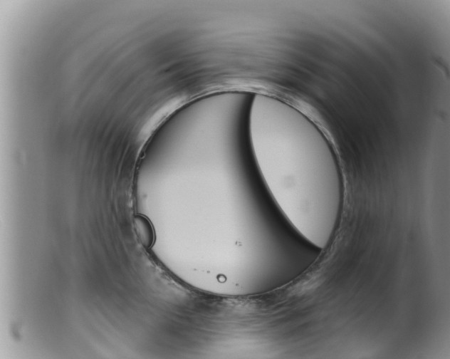 X0000099540954200805160745