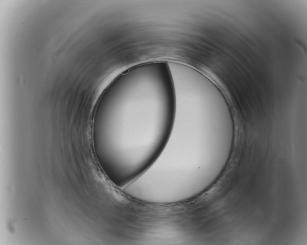 X0000099540956200805160745
