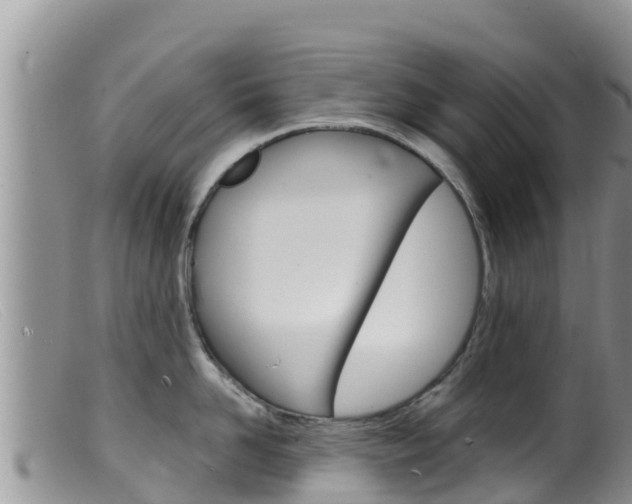 X0000099540958200805160745