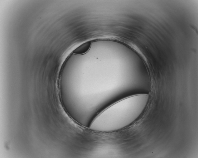 X0000099540959200805160745