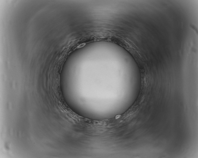 X0000099540961200805160745