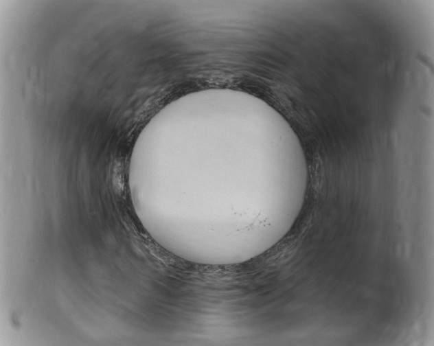 X0000099540962200805160745