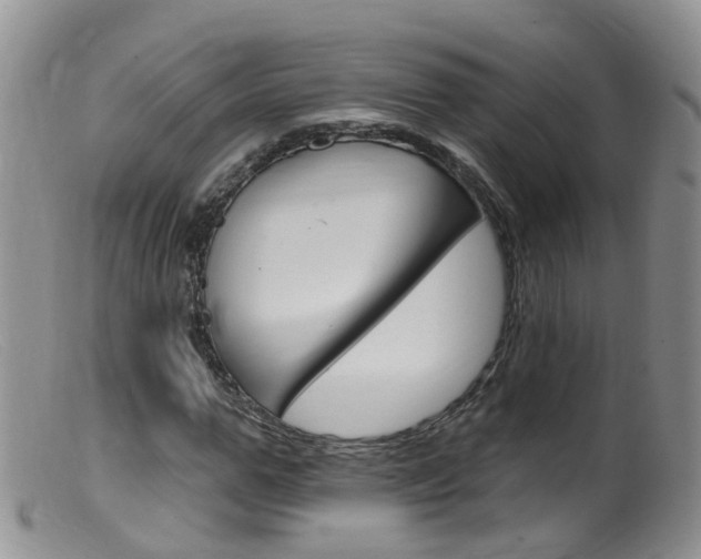 X0000099540967200805160745