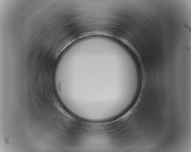 X0000099540969200805160745
