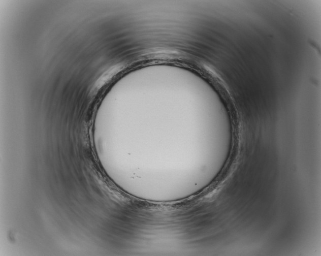 X0000099540970200805160745