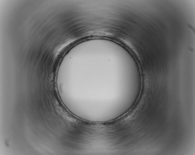 X0000099540971200805160745