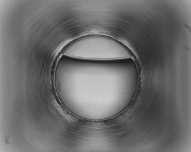 X0000099540972200805160745