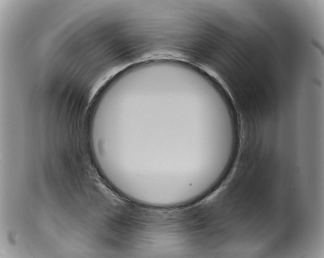X0000099540973200805160745