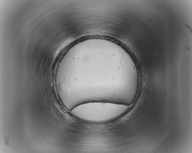 X0000099540974200805160745