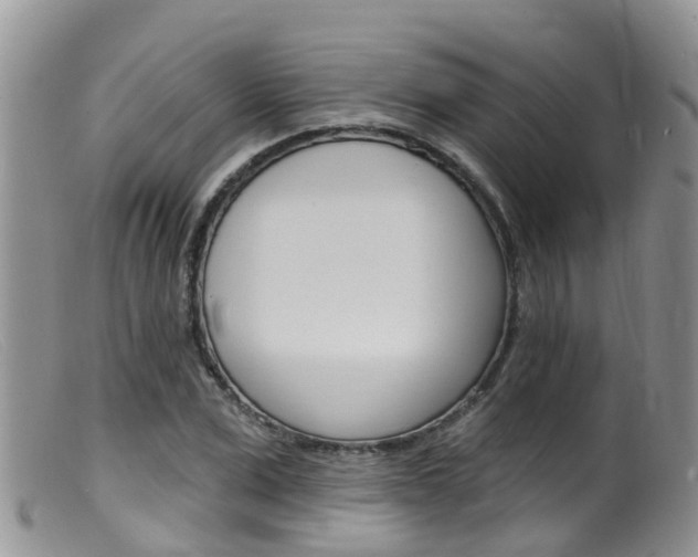 X0000099540975200805160745