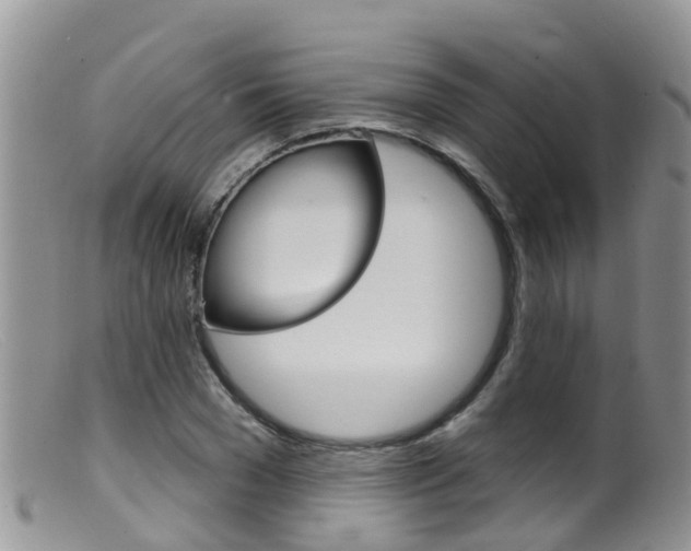 X0000099540977200805160744