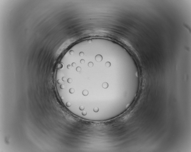 X0000099540978200805160744