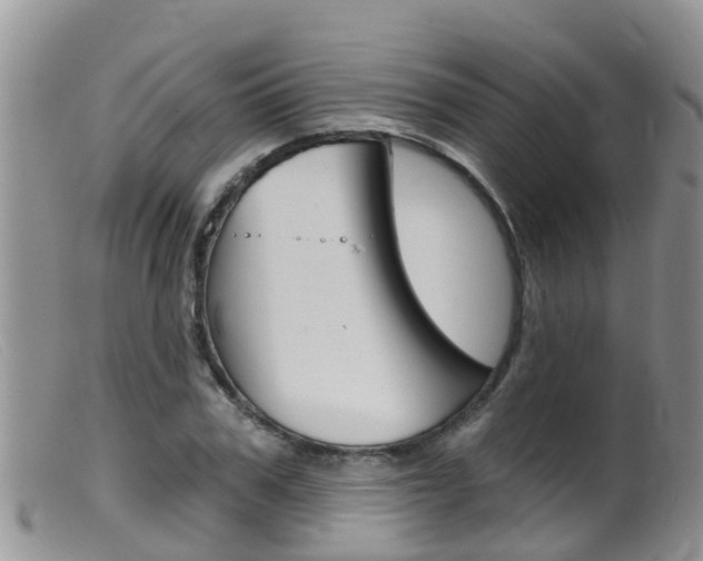 X0000099540979200805160744