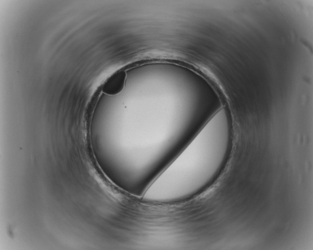 X0000099540981200805160744