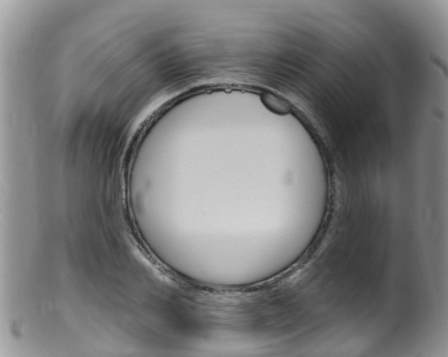 X0000099540982200805160744