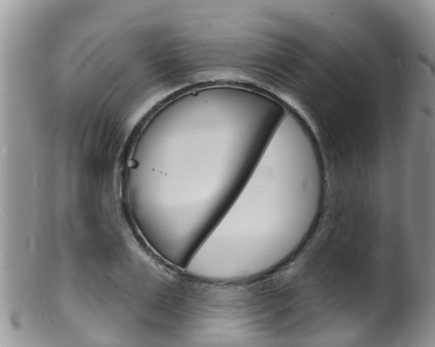 X0000099540983200805160744