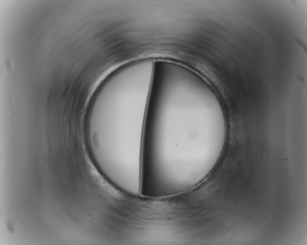 X0000099540984200805160744