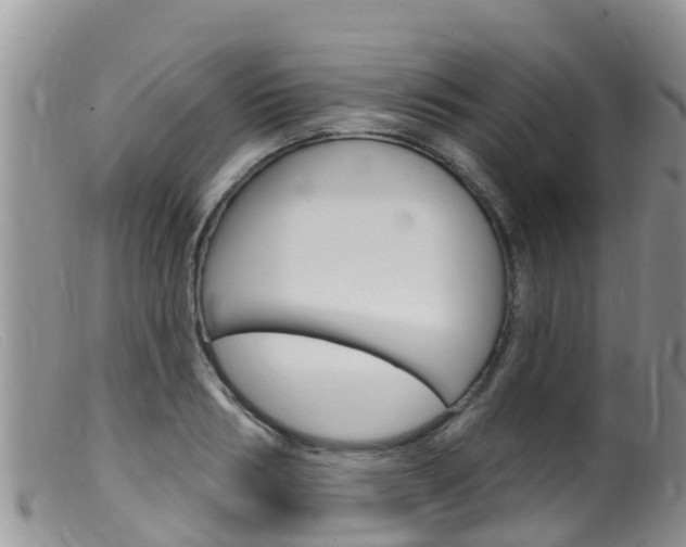 X0000099540986200805160744