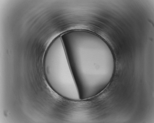 X0000099540988200805160744