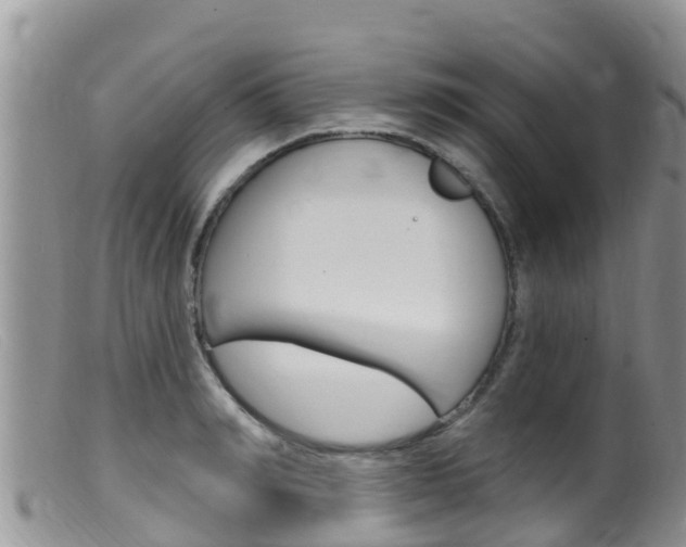 X0000099540990200805160744