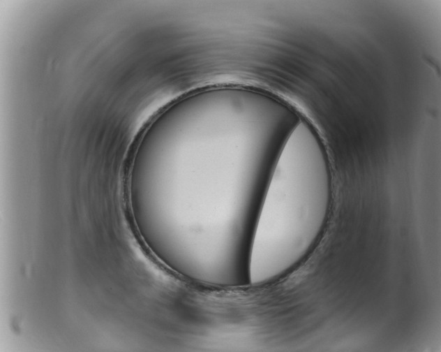 X0000099540991200805160744