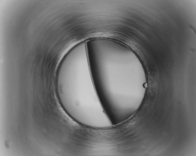 X0000099540992200805160744