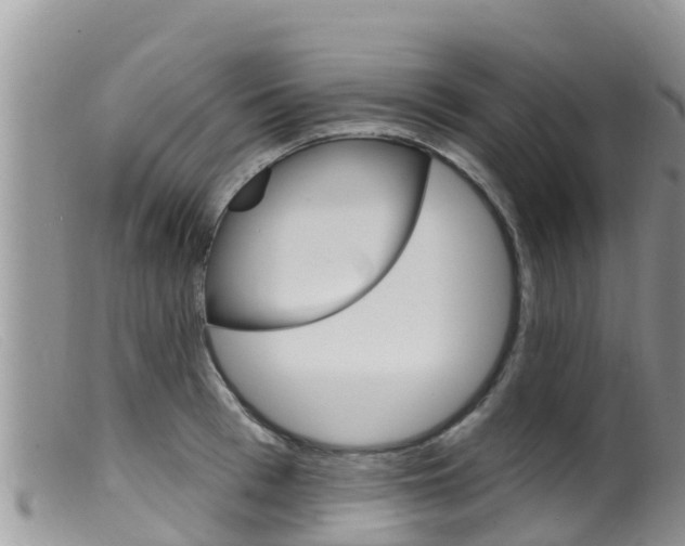 X0000099540993200805160744