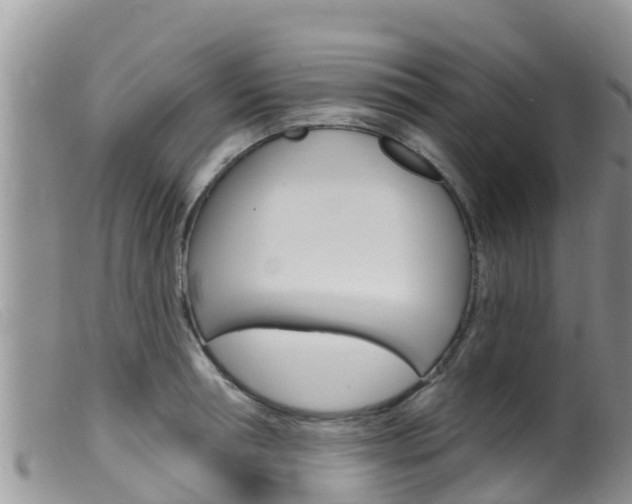 X0000099540994200805160744