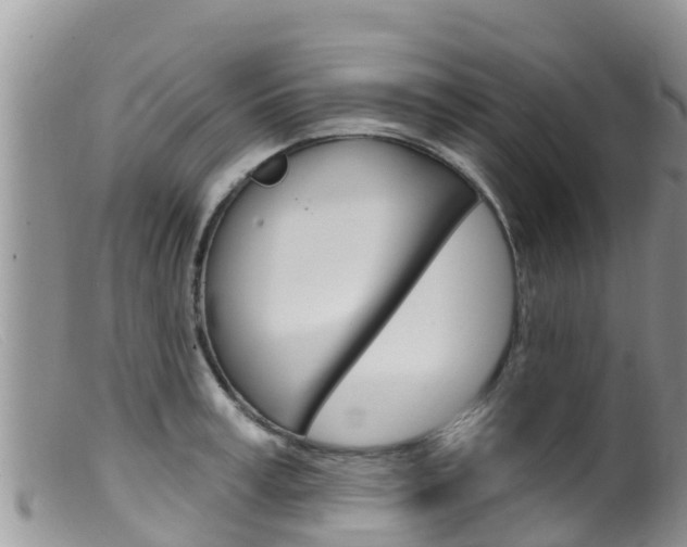 X0000099540995200805160744