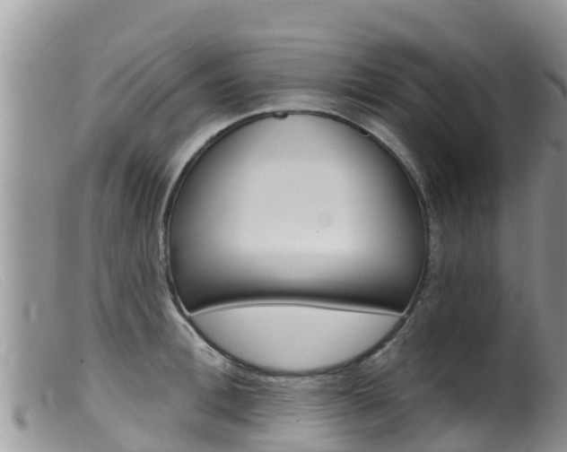 X0000099540996200805160744