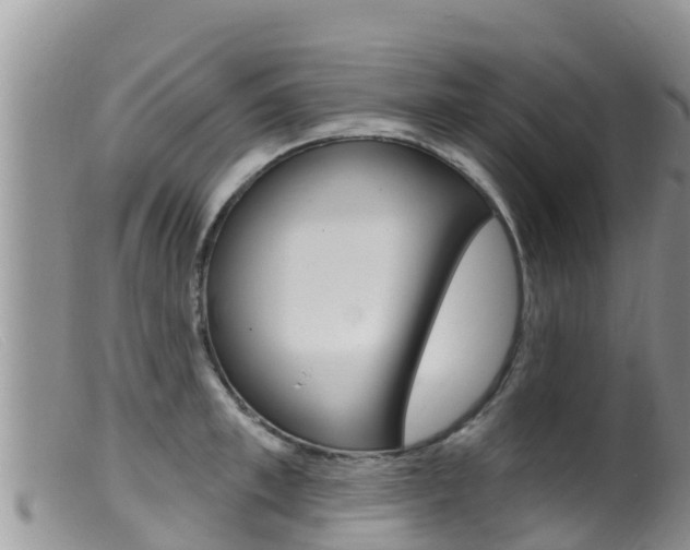 X0000099540997200805160744