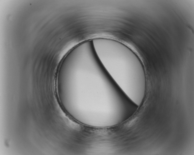 X0000099540999200805160744