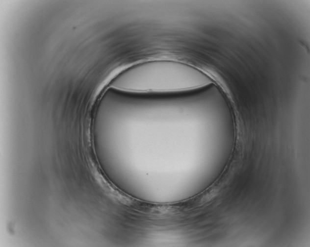 X0000099541000200805160744