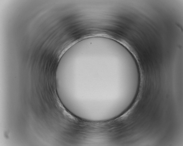 X0000099541001200805160744