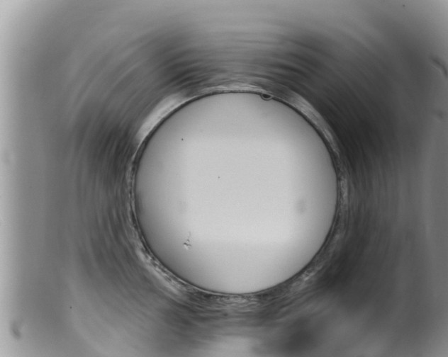 X0000099541002200805160744