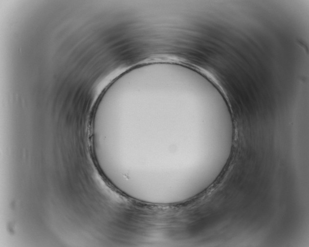 X0000099541003200805160744