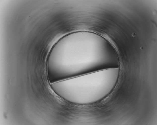 X0000099541004200805160744