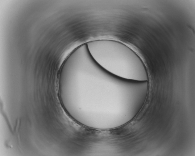 X0000099541006200805160744