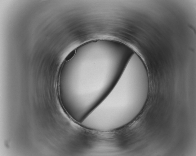 X0000099541007200805160744