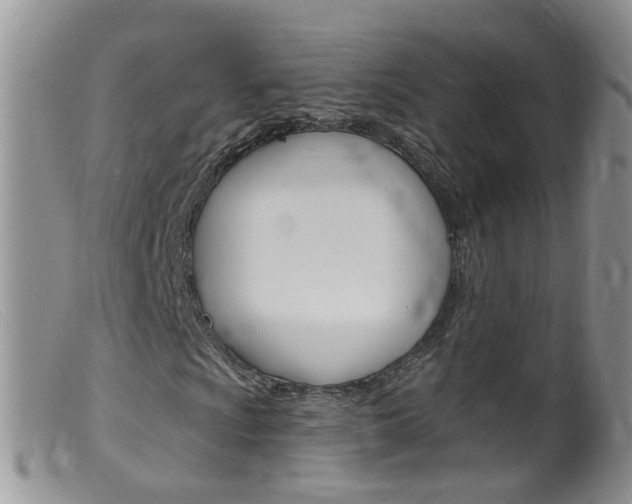 X0000099541009200805160743