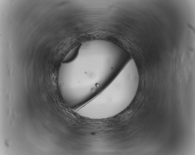 X0000099541010200805160743