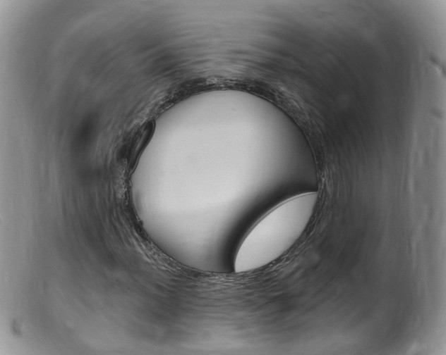 X0000099541012200805160743