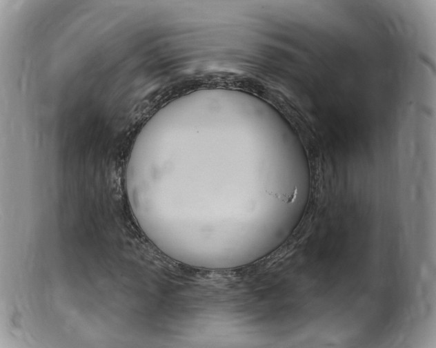 X0000099541013200805160743