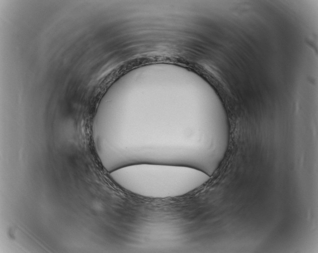 X0000099541015200805160743