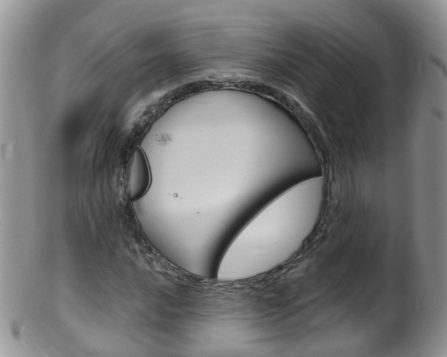 X0000099541016200805160743