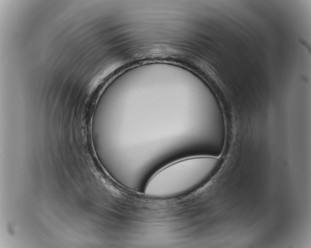 X0000099541018200805160743