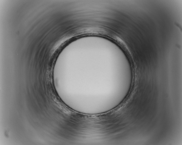 X0000099541019200805160743