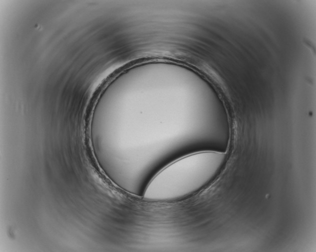 X0000099541020200805160743