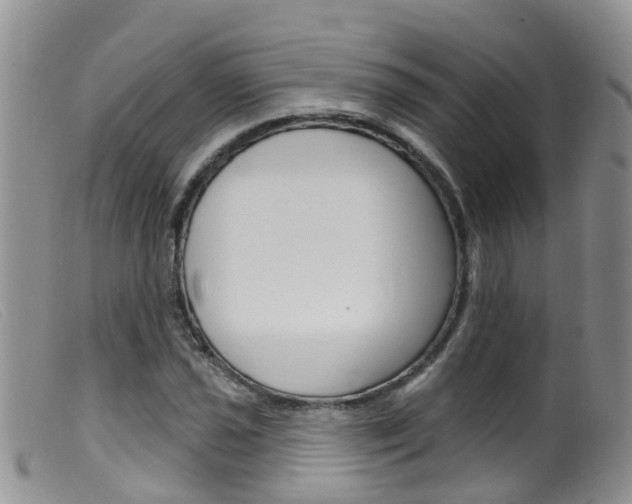X0000099541021200805160743
