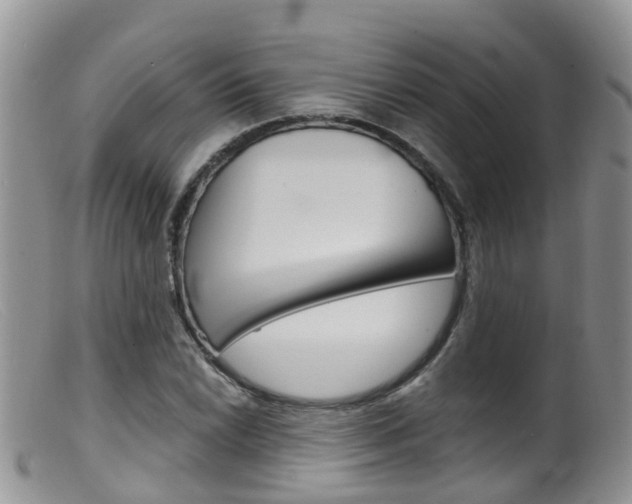 X0000099541022200805160743